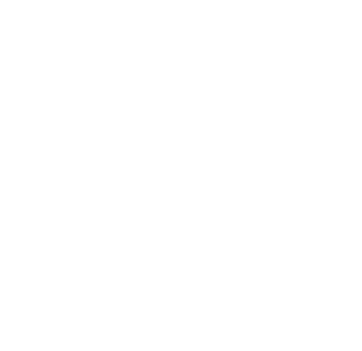 V3 - Current data NML white icon